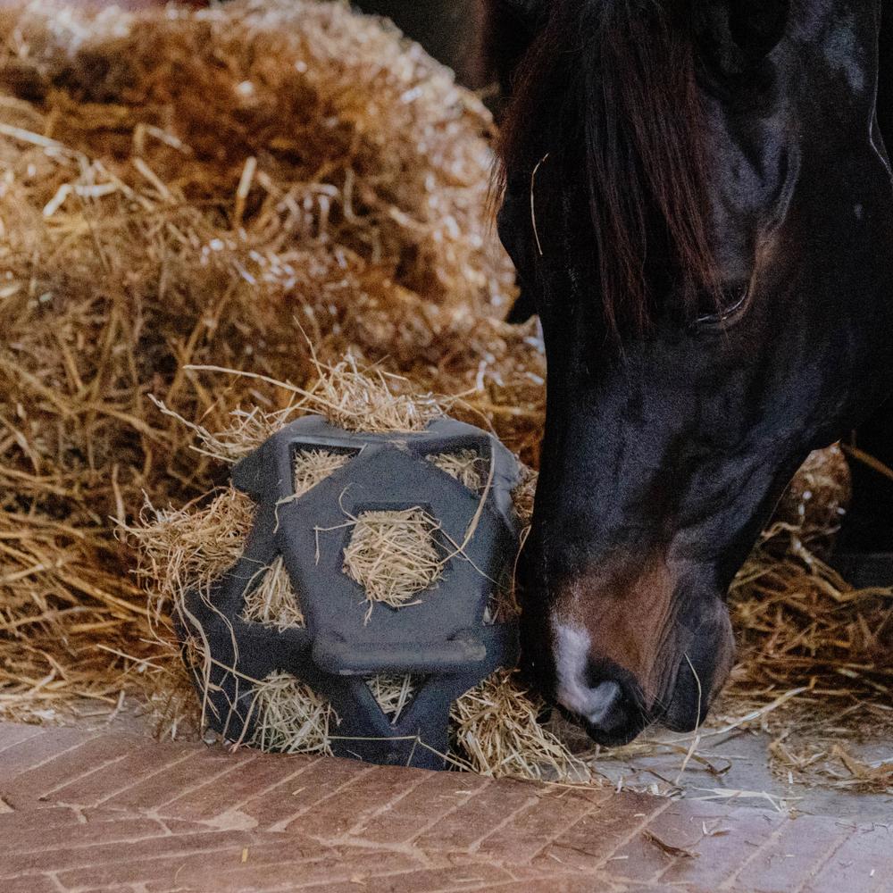 Stable